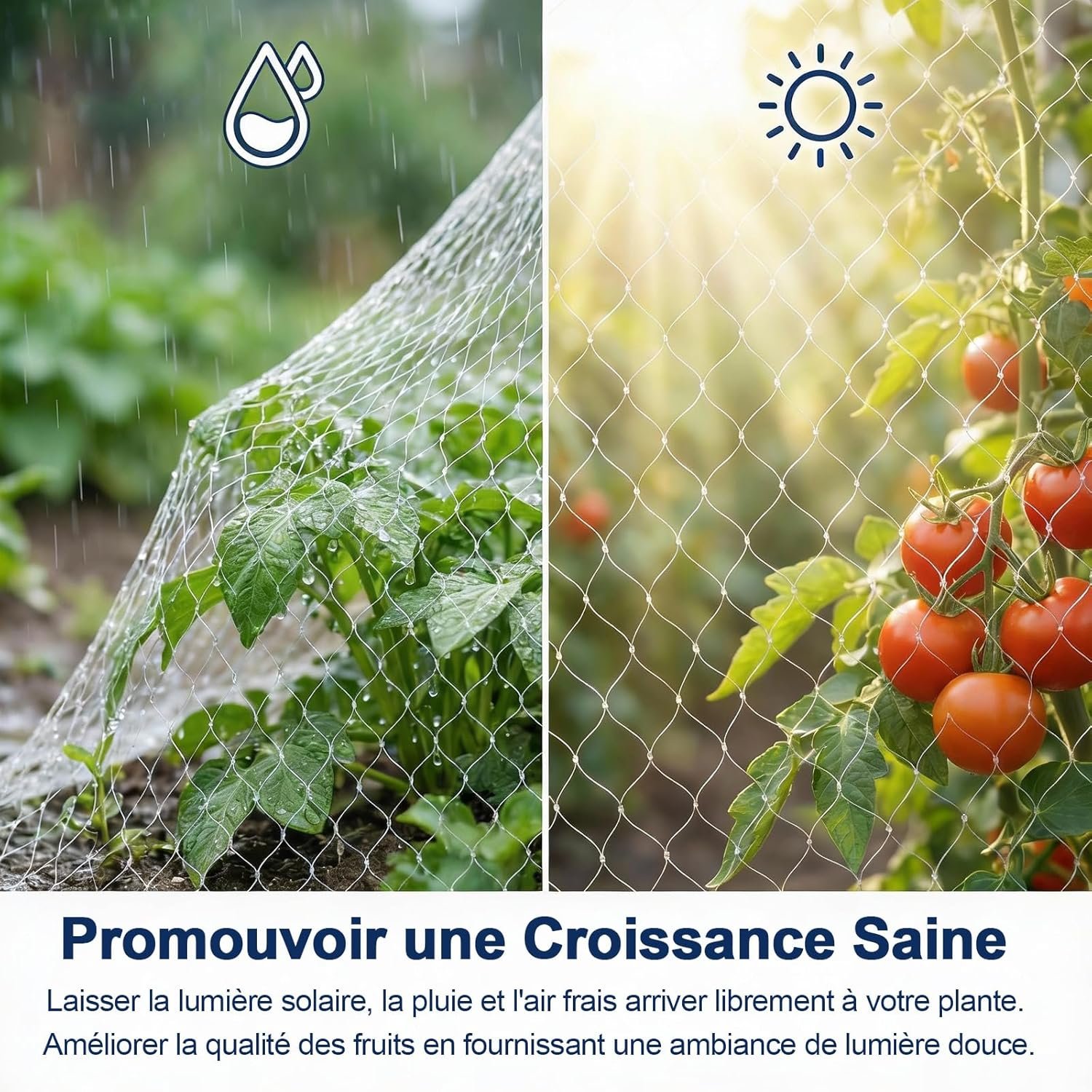 Malla antipájaros GWHOLE para protección de cultivos Malla antipájaros GWHOLE para protección de cultivos - Imagen 2